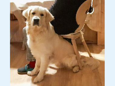 Balou