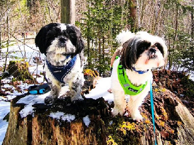 Benny und Pepe