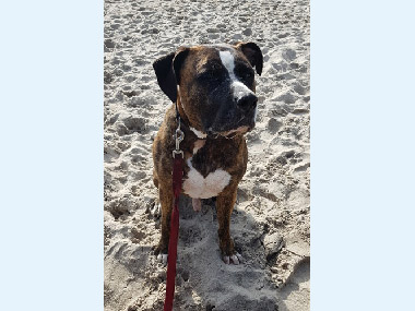 Tyson